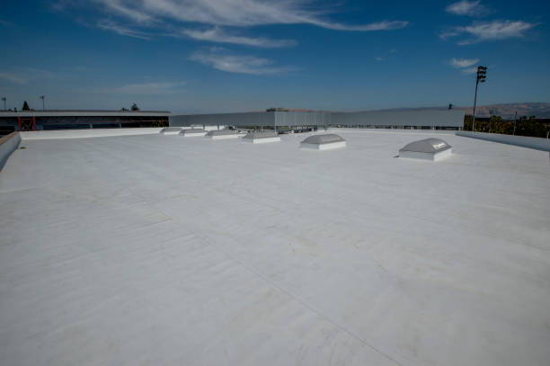 Best Commercial Roofing Services  in Judsonia, AR